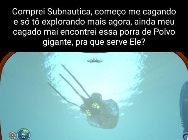 Comprei Subnautica começo me cagando e só tô explorando mais agora