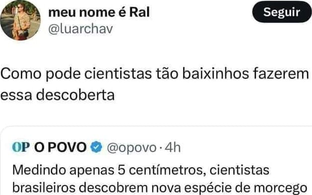 Meu nome é Ral Como pode cientistas tão baixinhos fazerem essa