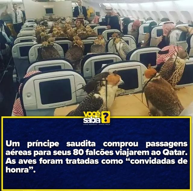 Um Pr Ncipe Saudita Comprou Passagens A Reas Para Seus Falc Es