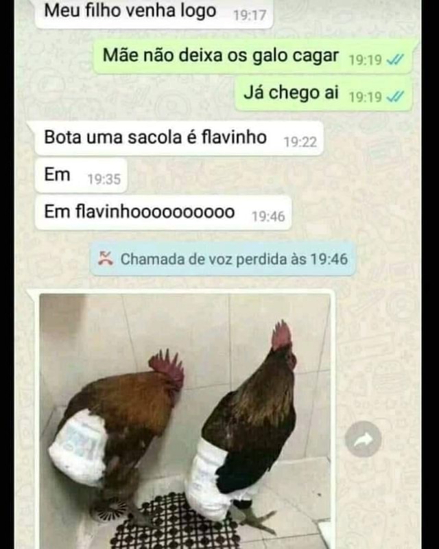 Meu filho venha logo Mãe não deixa os galo cagar Já chego ai Bota uma