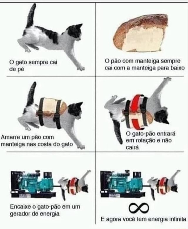 O gato sempre cai de pé Amarre um pão manteiga nas costa do gato