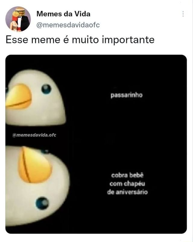 Memes Da Vida Gmemesdavidaofe Esse Meme Muito Importante Passarinho