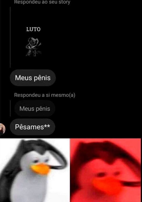 Respondeu Ao Seu Story Luto Meus P Nis Respondeu A Si Meus P Nis