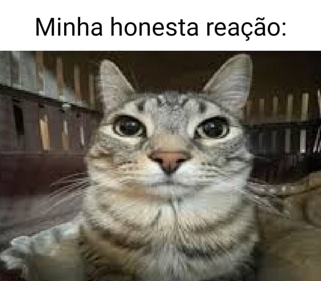 Minha Honesta Rea O Ifunny Brazil