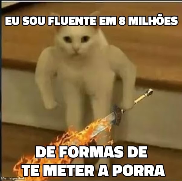 Eu Sou Fluente Em Milh Es De Formas De Te Meter A Porra Ifunny Brazil