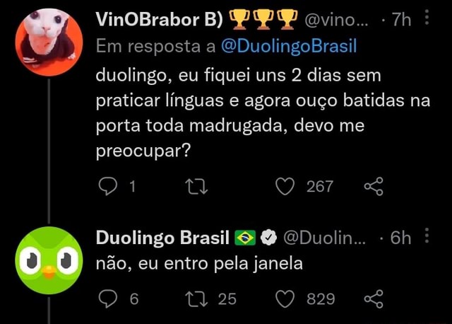 VinOBrabor B PPP Ovino Em Resposta A WDuolingoBrasil Duolingo Eu