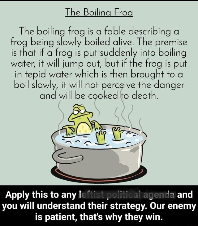 The Boiling Frog The Boiling Frog Is A Fable Describing A Frog Being