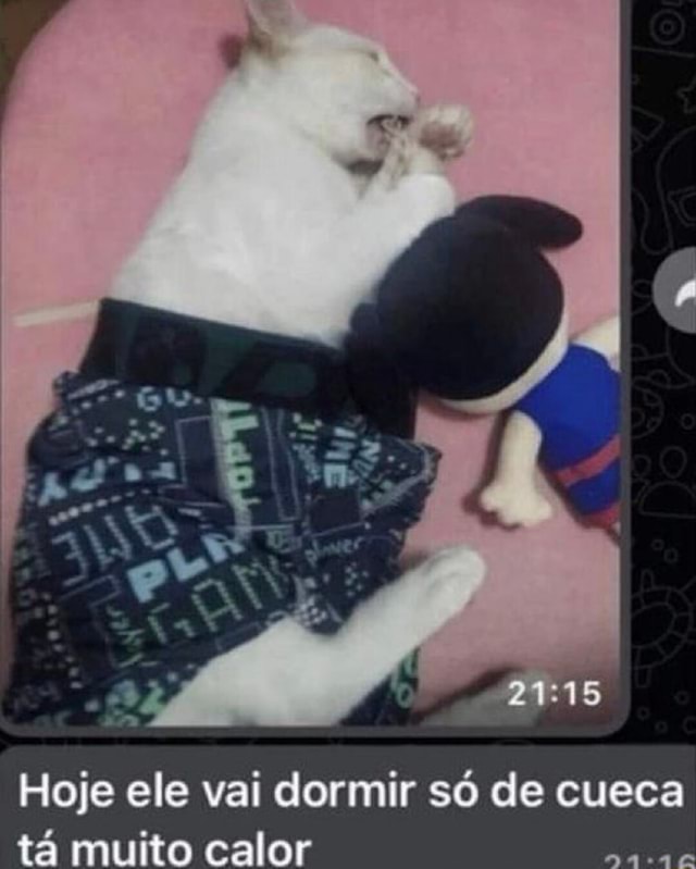 Hoje Ele Vai Dormir S De Cueca T Muito Calor Ifunny Brazil