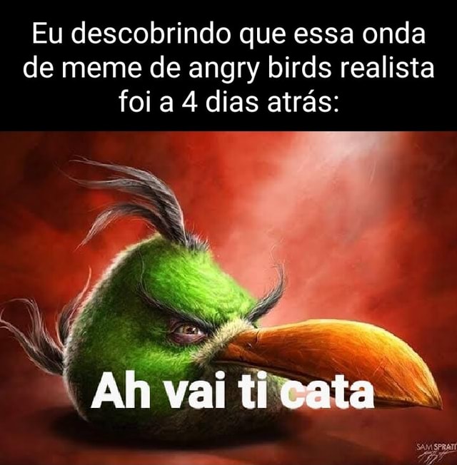 Eu Descobrindo Que Essa Onda De Meme De Angry Birds Realista Foi A