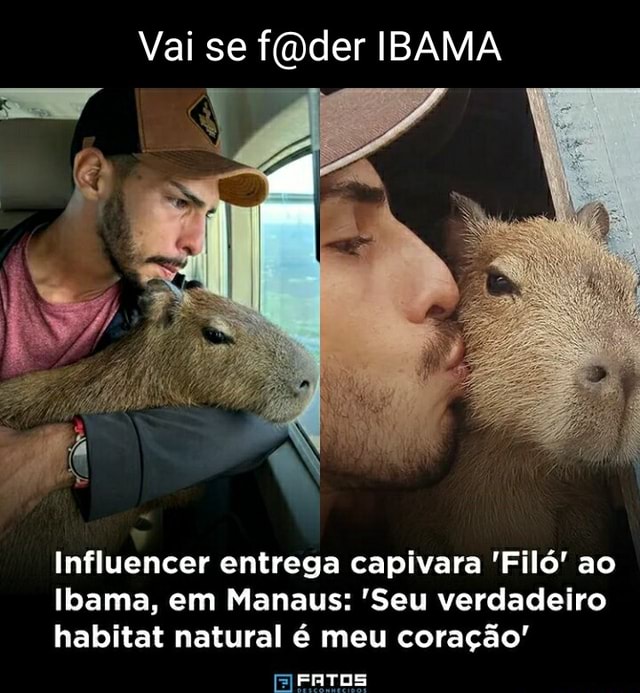 Vai se IBAMA Influencer entrega capivara Filó ao Ibama em Manaus