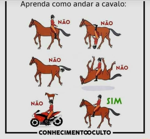 Aprenda Como Andar A Cavalo Conhecimentooculto Ifunny Brazil