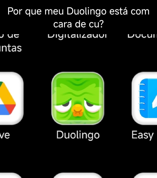 Por que meu Duolingo está cara de cu LAINILALIZA UI IN RAGS ntas