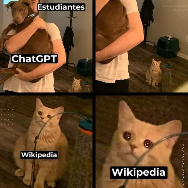 Estudiantes ChatGPT Wikipedia Wikipedia IFunny Brazil