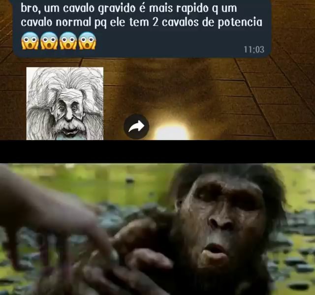 Bro um cavalo gravido é mais rapido q um cavalo normal pq ele tem 2