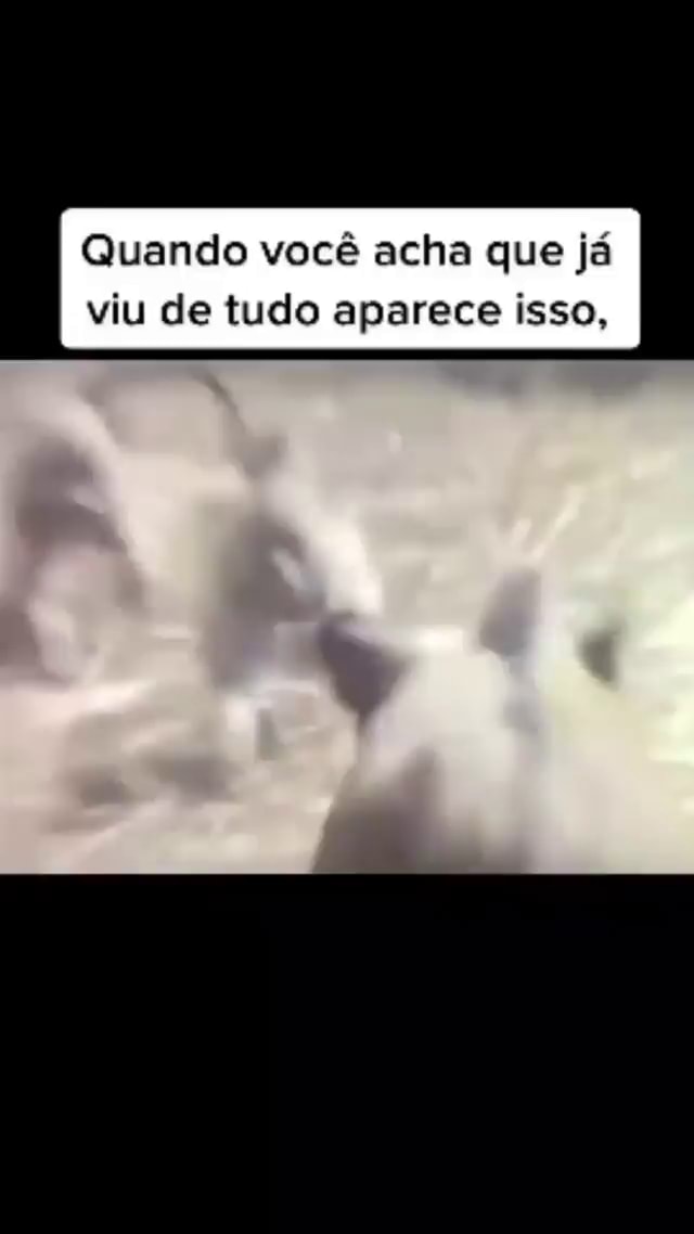 Quando você acha que já viu de tudo aparece isso iFunny Brazil