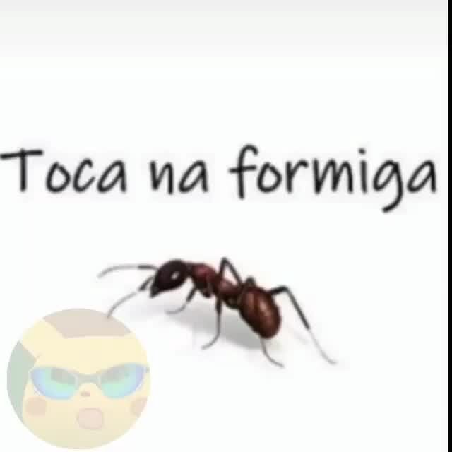 Toca Na Formiga IFunny Brazil