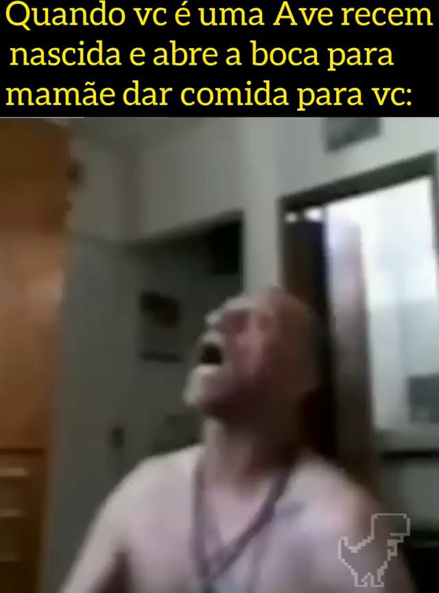 Quando Vc Uma Ave Recem Nascida E Abre A Boca Para Mam E Dar Comida