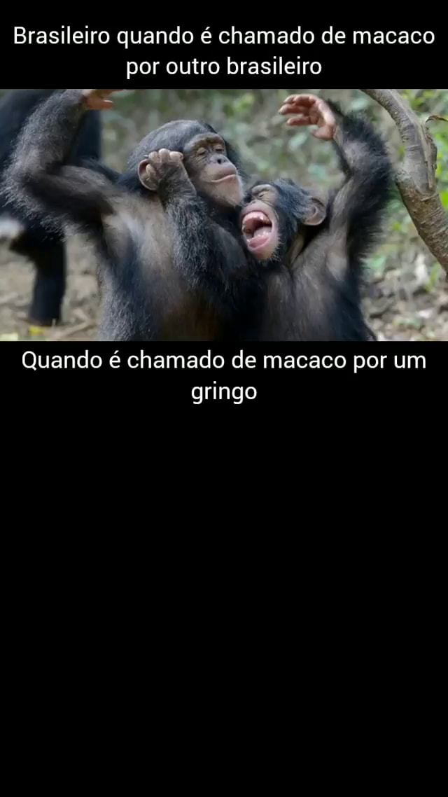 Brasileiro quando é chamado de macaco por outro brasileiro Quando é