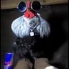 ANIMATRONIC APARECE CRIANÇA DO FNAF CHORAS GREGORY: - iFunny Brazil