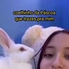 O primeiro beijo roubado a gente nunca esquece! Gfunnypets oficial - iFunny  Brazil