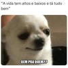 Conte uma piada Tá bom, mas lembre-se que eu sou só amadora na comédia Como  acaba um jogo de futebol entre patos? Empatado Enviar diariamente Quero  mais - iFunny Brazil