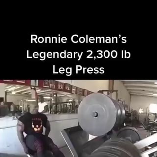 2300 leg press hot sale