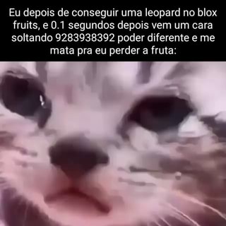 Eu depois de conseguir uma leopard no blox fruits, e 0.1 segundos