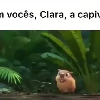 Clara - A Capivara 