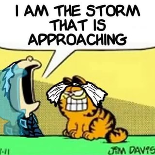 I AM THE STORM APPROACHING - iFunny Brazil