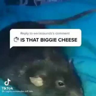 The Rap Icon Biggie Cheese - The Rap Icon Biggie Cheese - iFunny