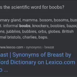 Scientific Words for Boobs - What's the scientific word for boobs? mammary  gland, mamma. bosom, bosoms, bust, chest. informal boobs, knockers, boobies,  bazookas, melons, jubblies, bubbies, orbs, globes. British informal  bristols, charlies