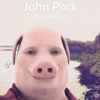 John Pork Is calling TikTok Greveryoe Decline Accont - iFunny Brazil