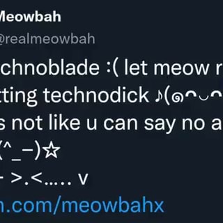 Anti meowbahh comic also RIP Technoblade : r/MelonPlaygroundOFC