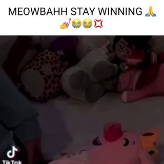 The meowbahh steps - Imgflip