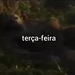 Terça feira meus amigos, terça feira 1ihrs TRAILER TUESDAY, DECEMBER ET -  iFunny Brazil