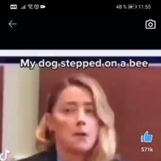 Dog Stepped On A Bee GIF