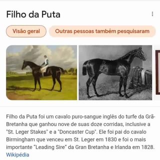 Visão  Era uma vez um cavalo de corrida chamado Filho da Puta