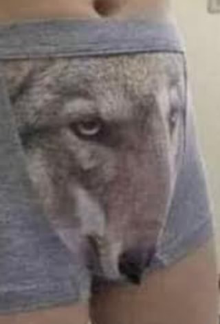 Ordering Wolf Underwear Online Expectation Reality - iFunny