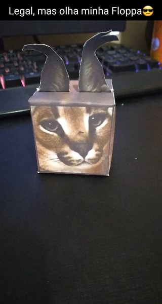 Aqui está o meu Cube floppa, (baseado no meme nos comentários) - iFunny  Brazil