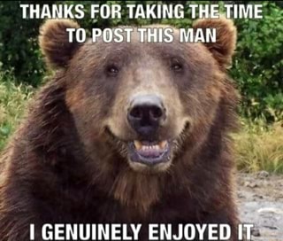 Face reveallyes, i am bear) - iFunny Brazil