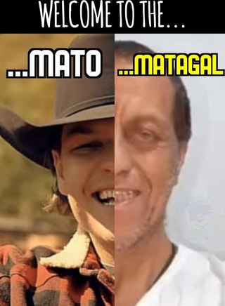 Como posso fazer um meme? Animan Studios Welcome to the Mato A