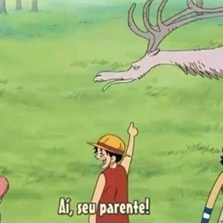 One Piece: Qual seria a nacionalidade de cada chapéu de palha, segundo  Eiichiro Oda