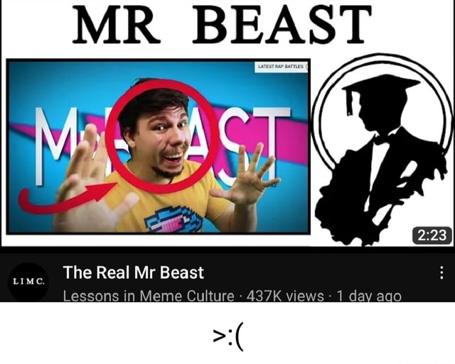 The Real Mr Beast 