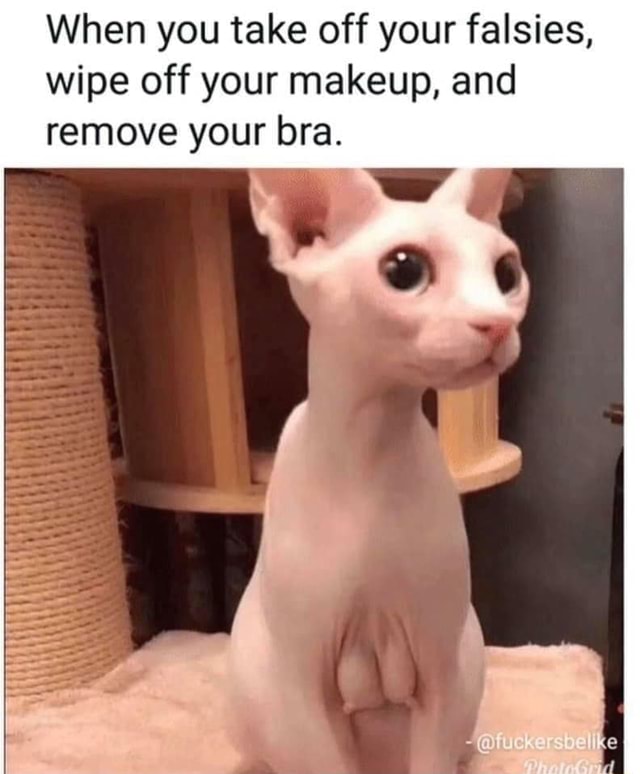 When you take off your falsies, wipe off your makeup, and remove your bra.  - iFunny Brazil