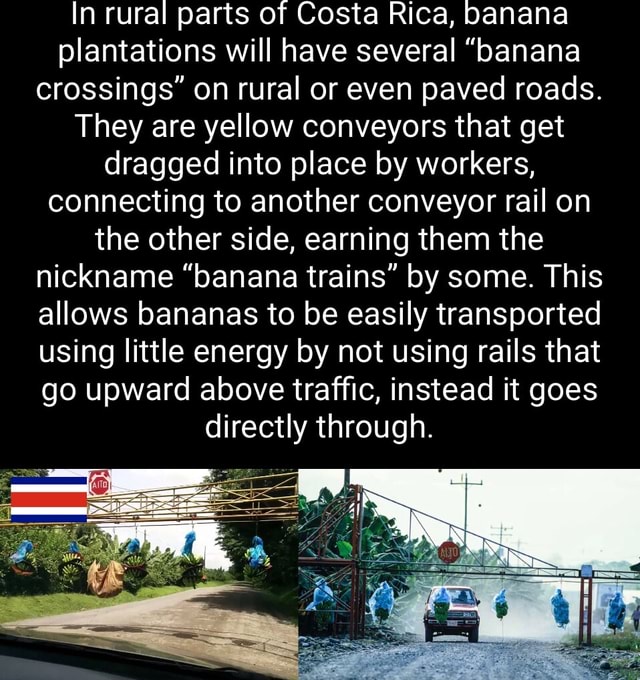 In rural parts of Costa Rica, banana plantations will have several ...