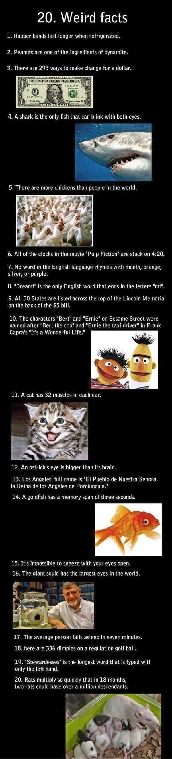 20. Weird facts 1. Rubber bands last longer when refrigerated. 2. Peanuts  are one of the ingredients of dynamite. 3. There are 293 ways to make  change tor a dollar. 6. All