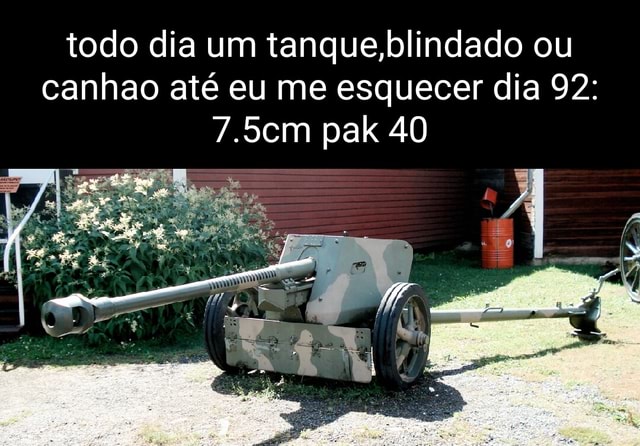 Todo dia um tanque,blindado ou canhao até eu me esquecer dia 132