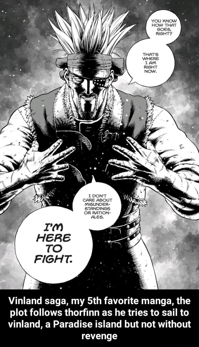 I dont think Thorfinn is a good leader : r/VinlandSaga