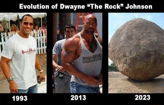 in 2023  The rock dwayne johnson, The rock eyebrow, Rock meme