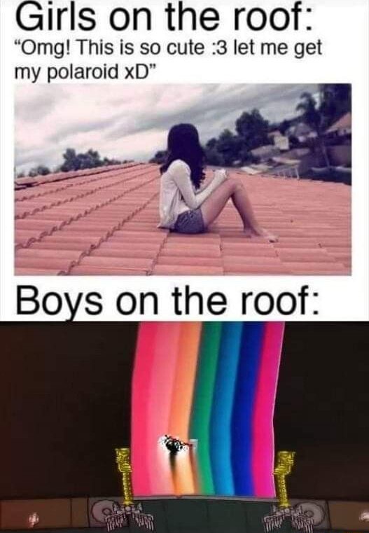 Girls on the roof: “0mg! This IS so cute :3 let me get my polaroid xD -  iFunny